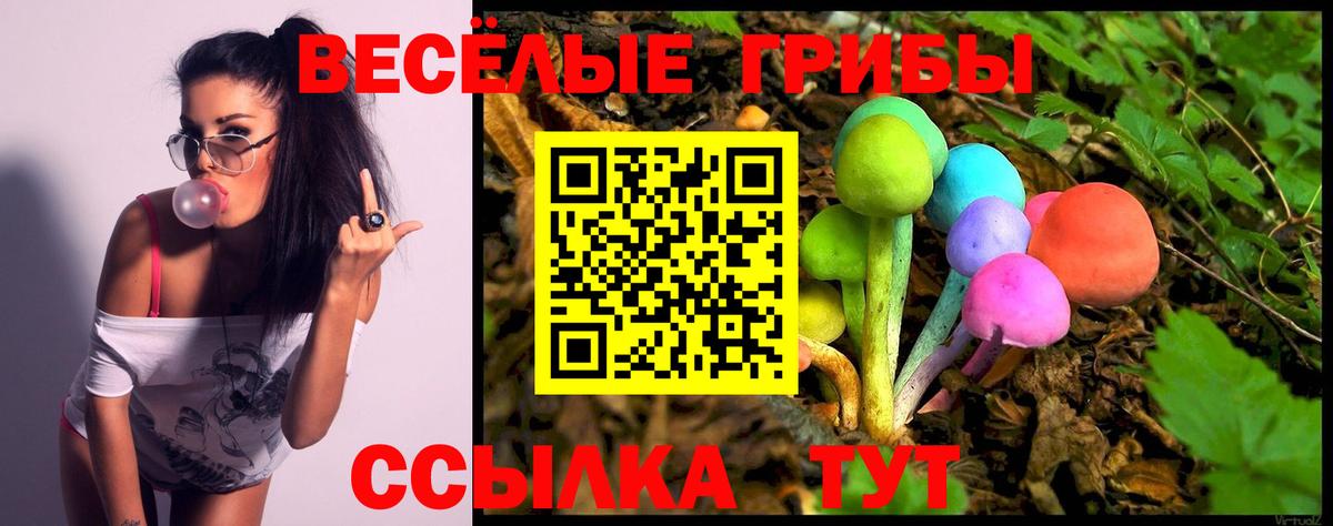 Вичуга  Галлюциногенные грибы GOLDEN TEACHER  где продают наркотики  Псилоцибиновые грибы Psilocybe  Вход с VPN 